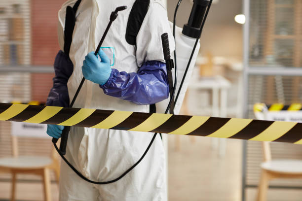 Professional Sewage Cleanup technician working in San Simeon, CA